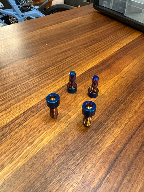 All Emoto Bash Guard Titanium Bolts (set of 4)